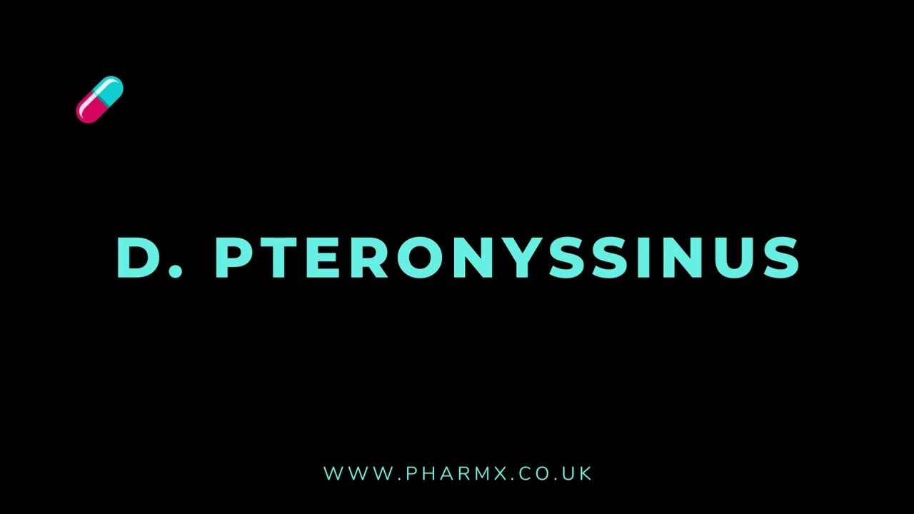 How to pronounce D.pteronyssinus YouTube