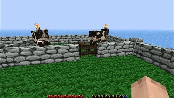 How to make Minecraft run WAY faster! 100 + FPS