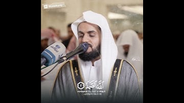 آرح قلبك سورة الاخلاص بصوت رعد الكردي حالان واتس اب #shortvideo #shortvideo #رعد_الكردي