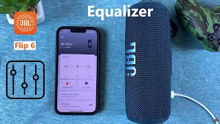 How To Use the Equalizer On JBL Flip 6 screenshot 2