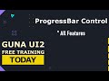 Guna UI2 ProgressBar Control
