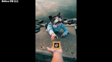 Art progress before and after drawabox (Lesson 1)