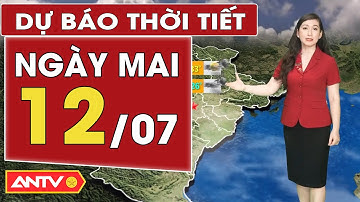 Dự báo thời tiết mới nhất ngày mai 12/7: Bắc Bộ và Trung Bộ mưa lớn, Nam Bộ nắng nhẹ | ANTV