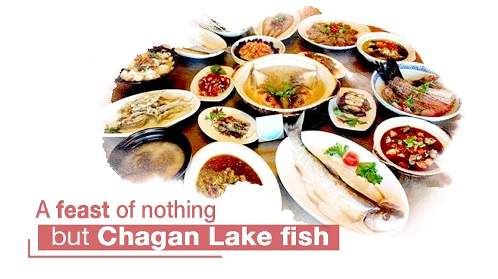 Live: A feast of nothing but Chagan Lake fish 探秘查干湖全鱼宴