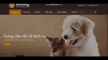 Full code web spa thú cưng - php