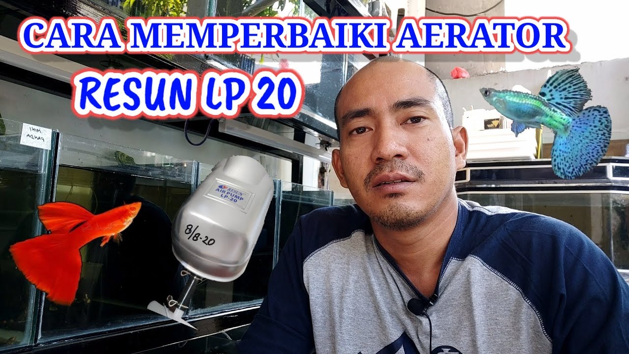 Tutorial Cara Memperbaiki Aerator/ Service Aerator Resun LP 20. Ternyata Sangat Mudah