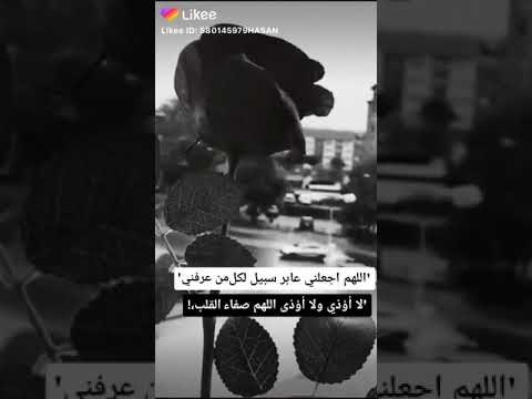 الروح الجميلة ترى السعادة في أبسط الأشياء