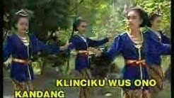 Kelinci Ucul - Durasi: 3:31. Kelinci Ucul - Durasi: 3:31.