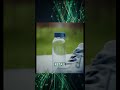 Allbirds Collapsed to $39M