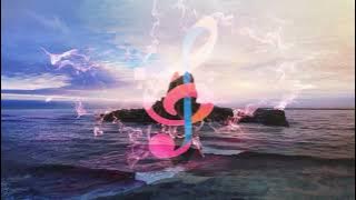 Tujh Mein Rab Dikhta Hai ||*Female Version || Rab Ne Bana Di Jodi | Instrumental Music | Re Enhanced