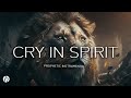 cry in spirit-prophetic worship instrumental ( meditation music)