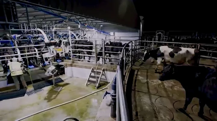 A Dairy System to Feel Confident In | DeLaval Rotary E100 | DeLaval