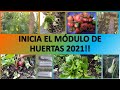 Comienza el módulo de huertas 2021!!