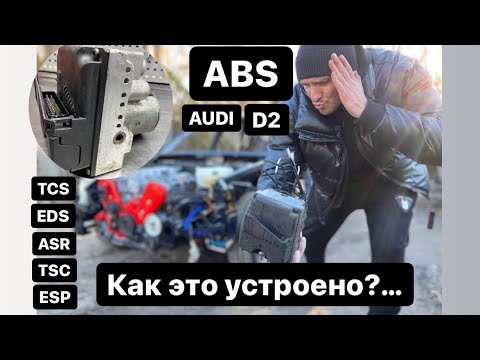 Video: Jak Postavit Dolní Abs