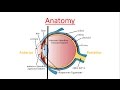 Cataract explained from A to Z