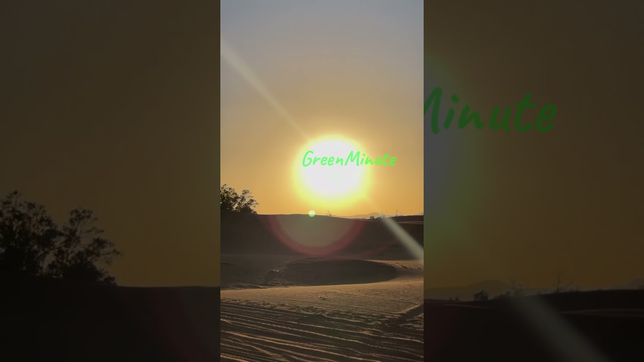 This Desert Was Once an Ocean?! 🌊🐟 Fossils Prove It! 