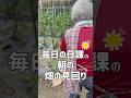 朝に畑の様子を見て回るばあちゃん #shorts