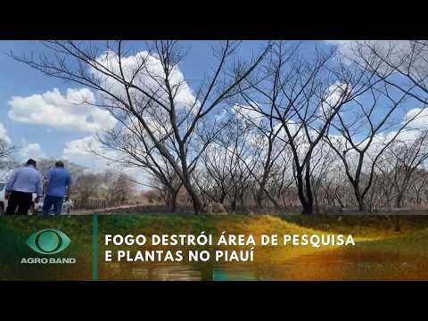 Fire destroys research area and plants in PI