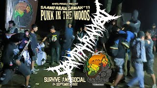 Download Lagu SAMPAH RAKYAT - punk in the woods MP3