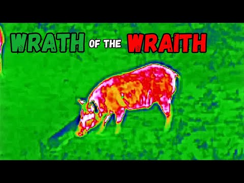 Video: Ar Wraith buvo nugalėtas?