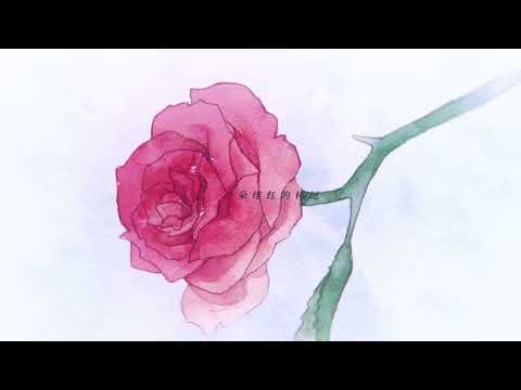 【双笙】《纯白》 （feat.v.k克）