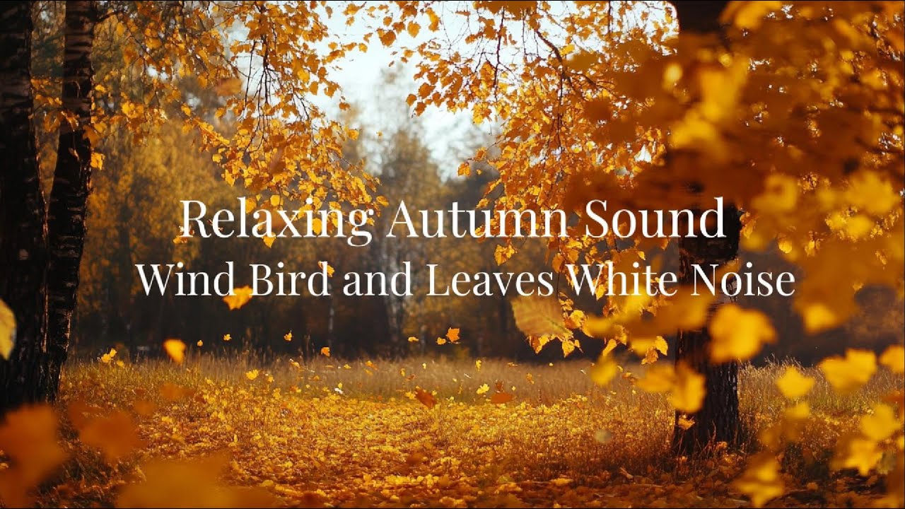 Fall Sounds Relaxing Autumn Wind, Birds and Leaves White Nose | 8 Hours of Nature ...
