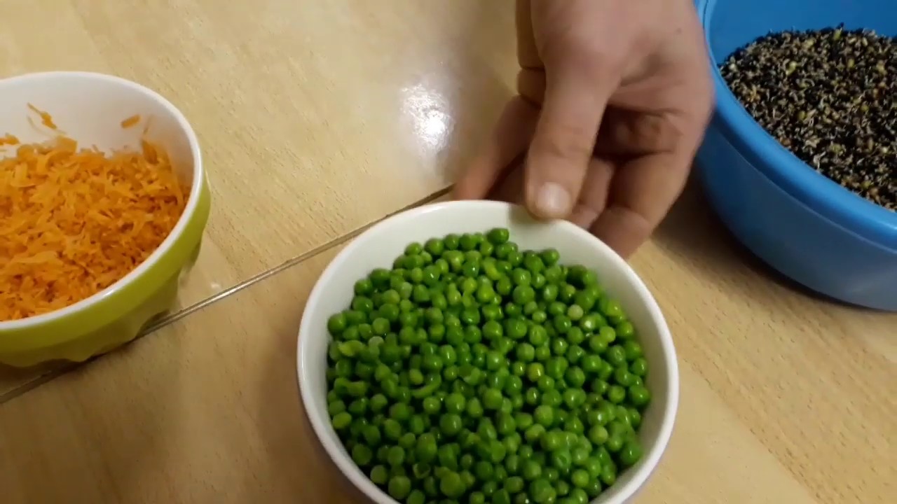 Chardonneret,canaris préparation de la pâtée maison