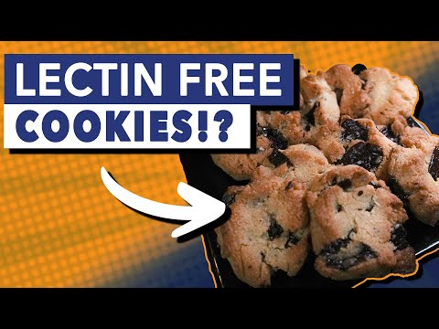 The BEST Lectin-Free