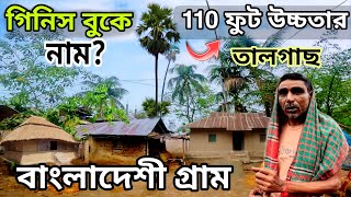 বাংলাদেশী গ্রাম | 110 ফুট উচ্চতার তালগাছ | Bangladesh Tour | Bangladesh Village | Adamdighi Bogra