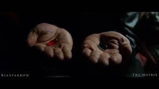 The Matrix - Gasoline (by Greek Fan)