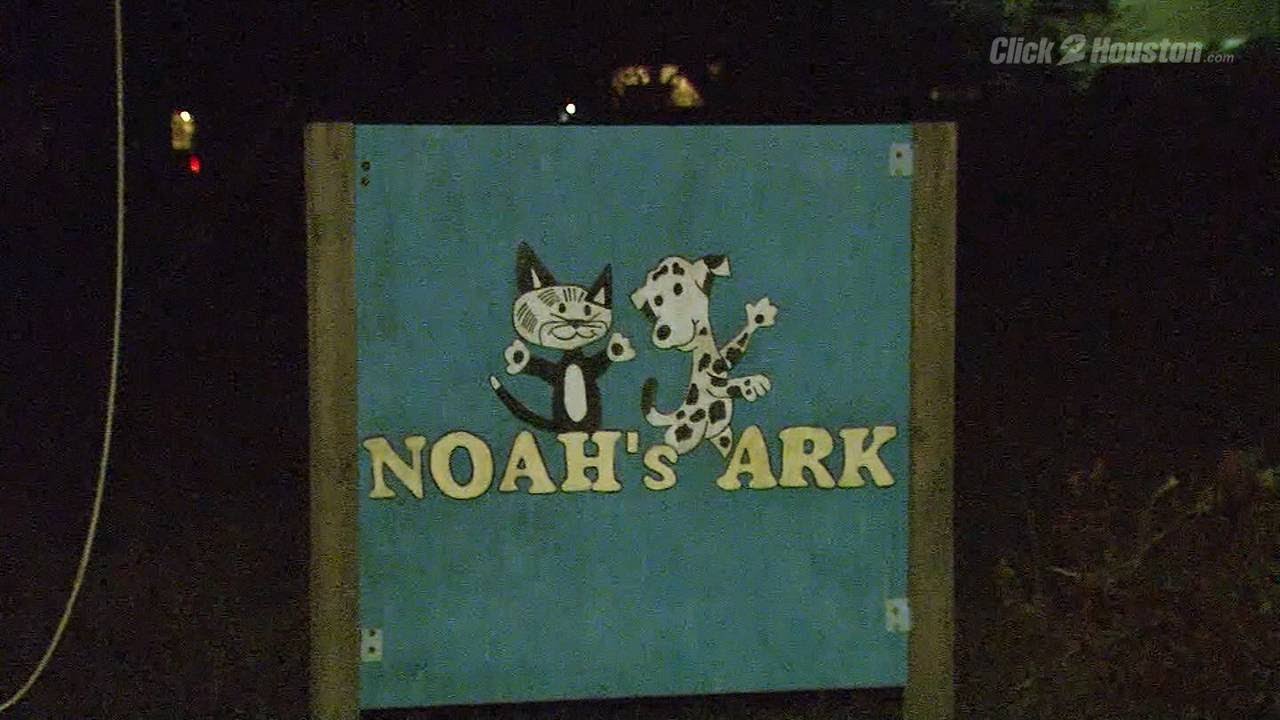 Animal abuse case in court