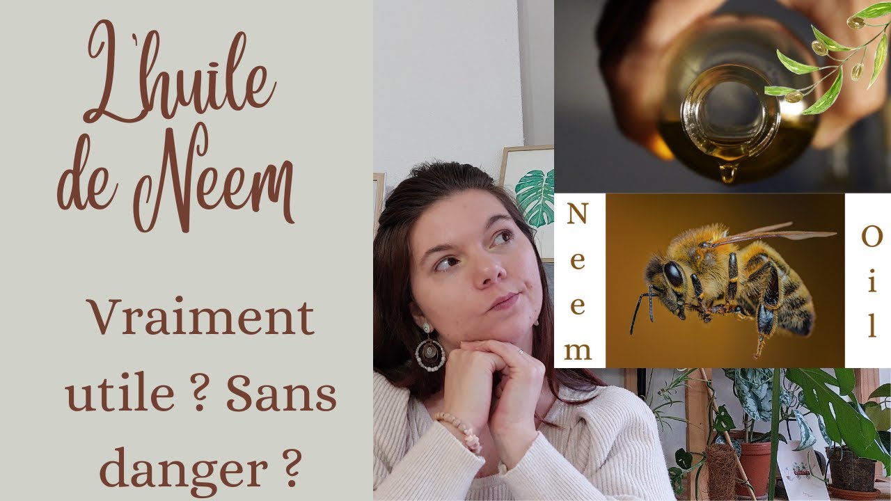 Huile de Neem | Utilité contre les nuisibles, toxicité, Infos ou intox ?