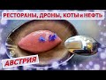 Про Австрию, дроны, рестораны, нефть и котов.