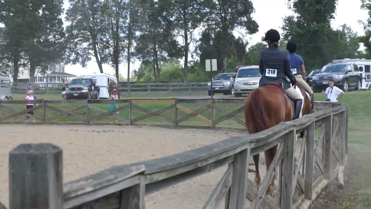 Ronan - Adult Pleasure @ NHS Show