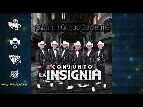 Conjunto la Insignia