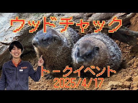 Woodchuck Public Talk Event - YouTube