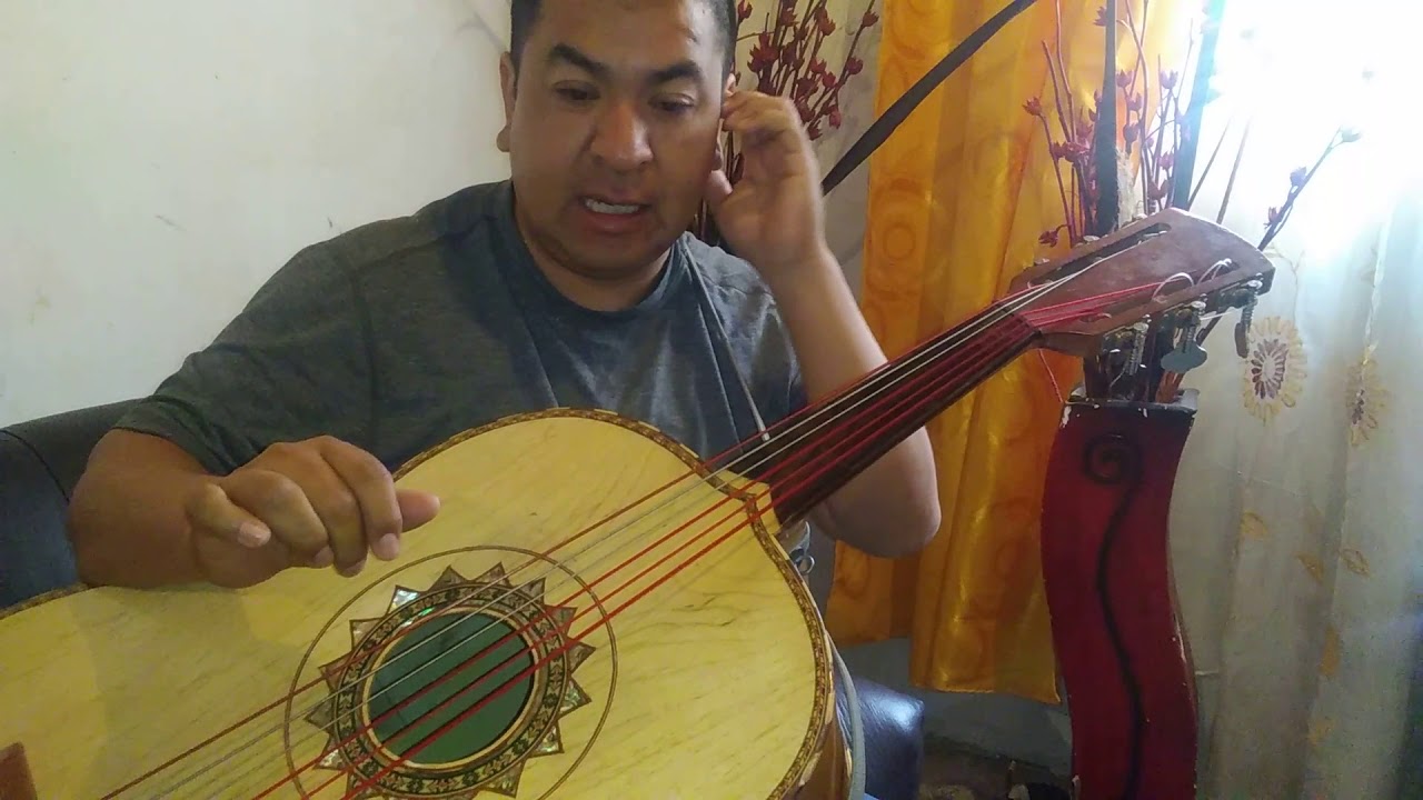 guitarron.paloma.negra