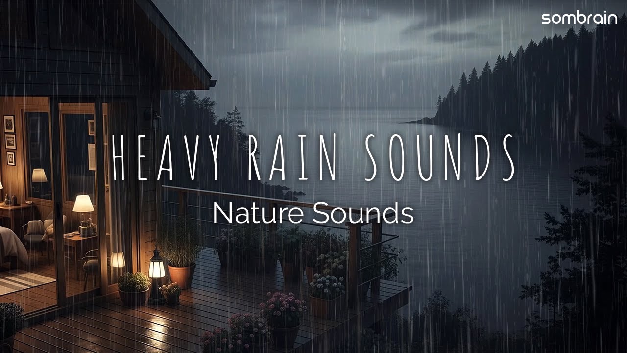Secluded Ocean Cabin Sounds 🌲 Listen to Natural Rain Sounds for Uninterrupted Deep Sleep