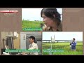 In Asia: Saving Vietnam's Fields from Rising Water Levels - IMPACTS: Climates Change the World