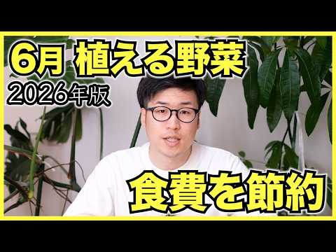 【2026年版】家庭菜園で6月に植えるおすすめ野菜ランキングベスト5【食費を節約】