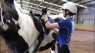 Mounting and Dismounting the Horse - NEQC Stages Riding Program: Stage 1, Lesson 5
