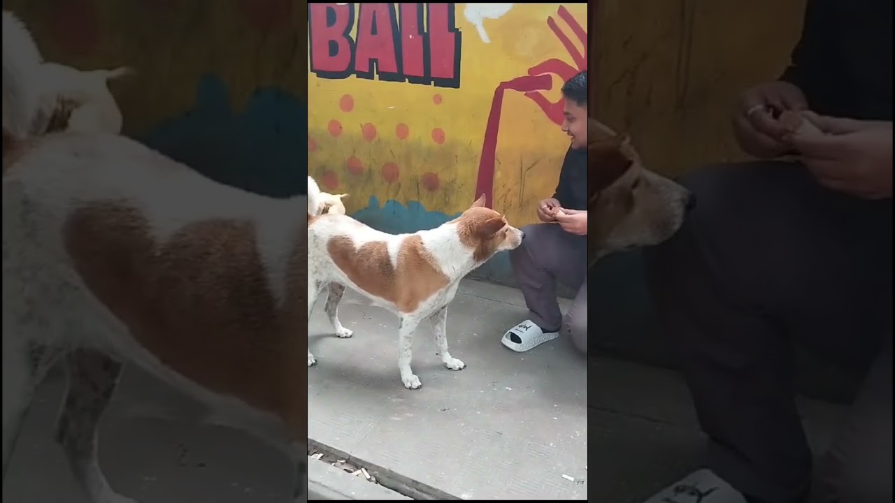 A day in the life of a LLB Graduate(BUP) ✨ 