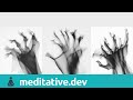 Who is moving the arm? Inquiry into the sense of agency | guided meditation