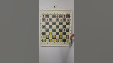 Use This Chess TRAP Against The Scandinavian Defense! #3