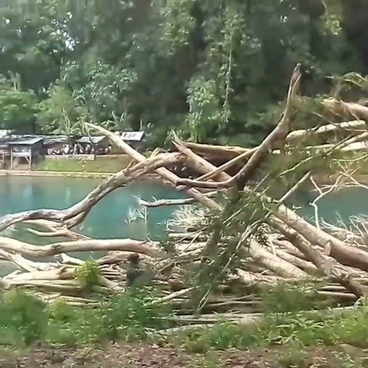 Cibanten Ciomas Serang Banten #short #wisataalam #Banten