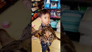 Diyoke Kitten kasi Makan Tabita plus kita tambah unicat pouch