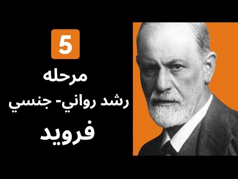 تصویری: رشد اجتماعی در اوایل بزرگسالی چیست؟