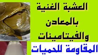 الفوائد القوية والمفاجأة لعشبة الحلص ،العلفق  والمعروفة علميا باسم Cissus rotundifolia