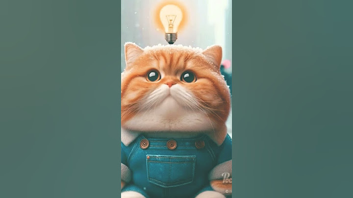 мем про котика и бургер