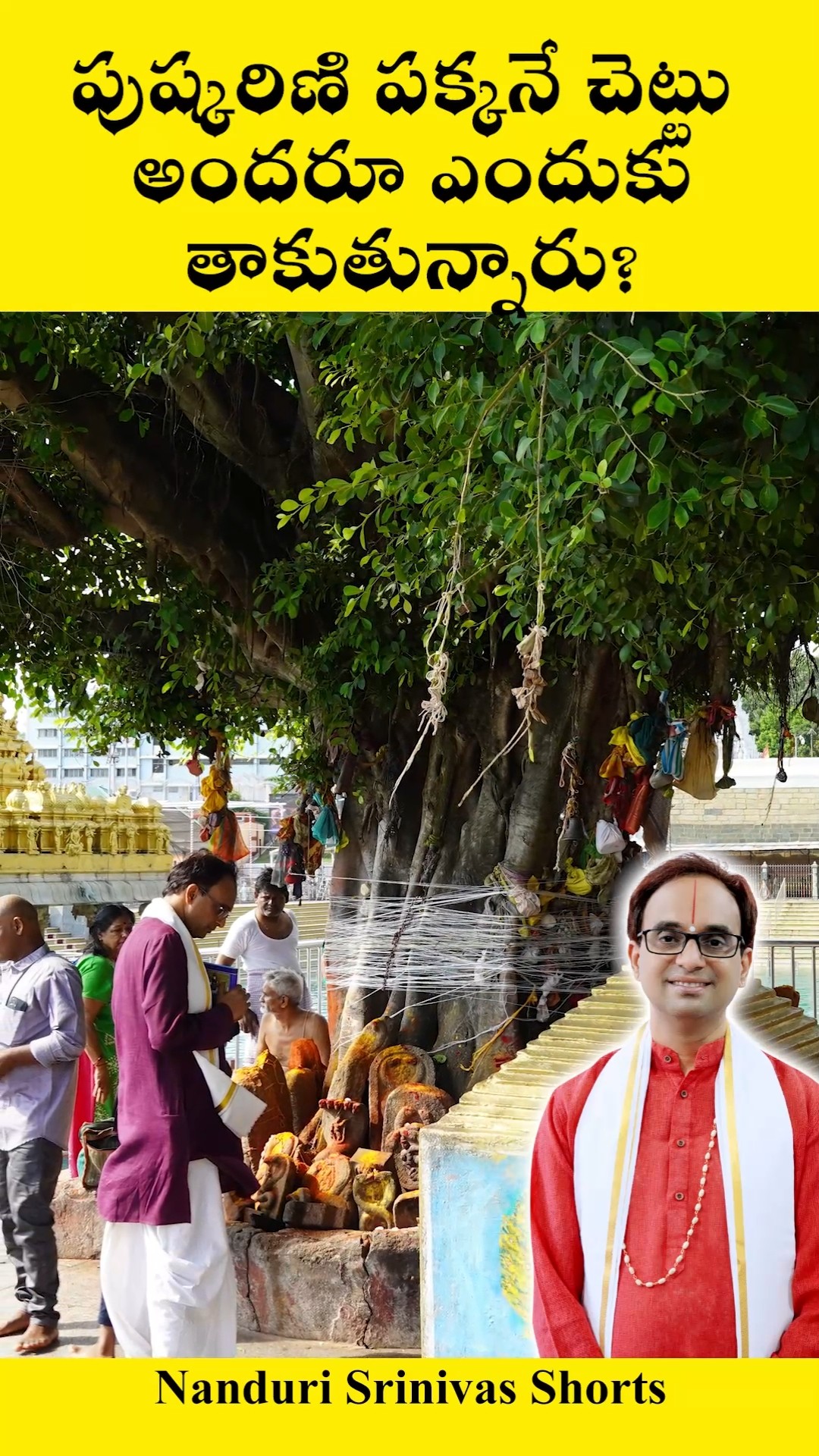 తిరుమల పుష్కరిణి వద్ద ఉన్న ఈ చెట్టు...  | Tirumala Pushkatini tree | Nanduri Srinivas